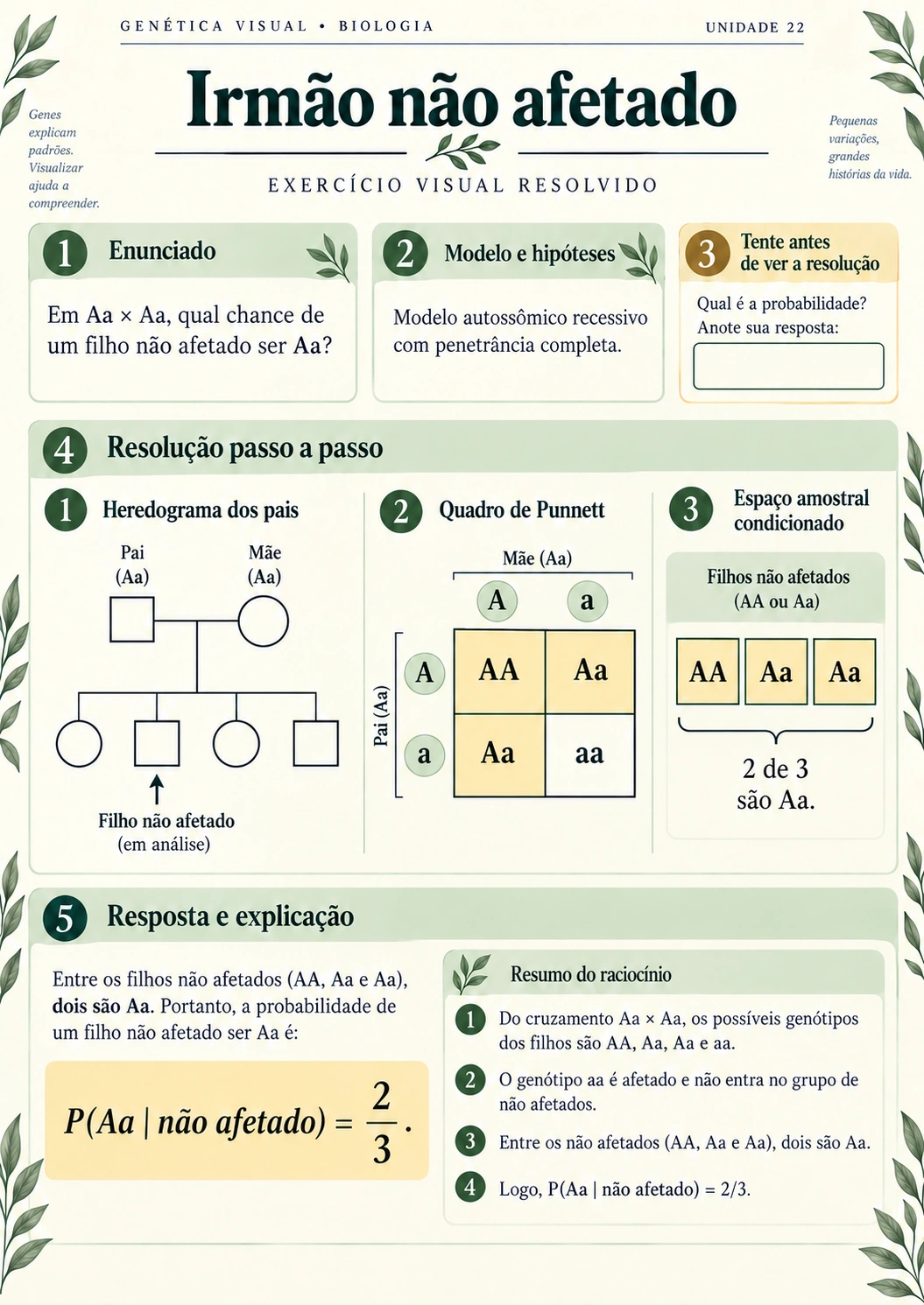 Prévia 3