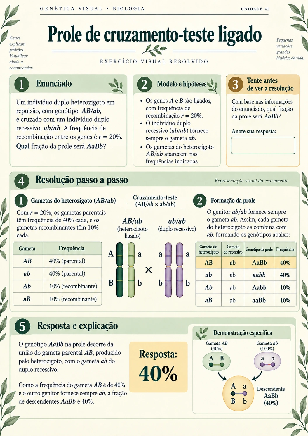 Prévia 5